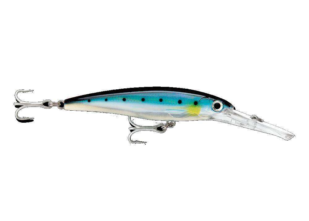 Rapala X-Rap Saltwater 12 Fishing lure, 4.75-Inch, Blue Sardine