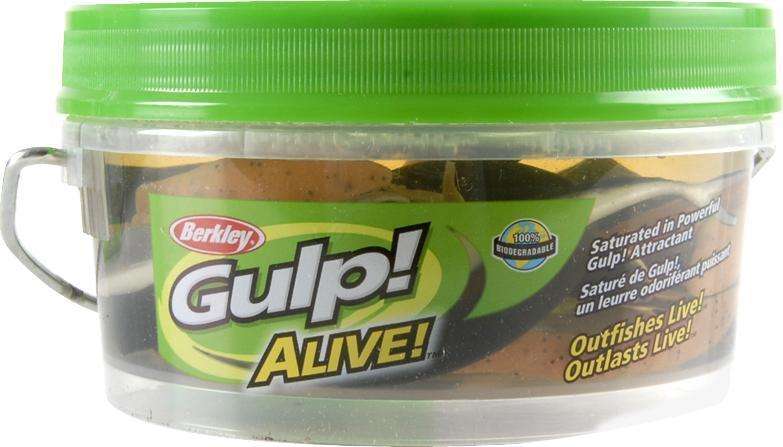 Berkley Assorted Shrimp Bait Bucket Gulp Alive 3'' - Ideal For